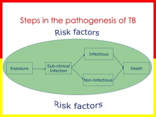 Steps in the pathogenesis of TB 
Exposure 
Sub-clinical Infection 
Non-Infectious 
Infectious 
Death  