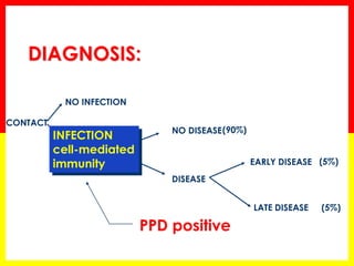 DIAGNOSIS: 
CONTACT 
NO INFECTION 
NO DISEASE 
DISEASE 
EARLY DISEASE 
LATE DISEASE 
(5%) 
(5%) 
(90%) 
INFECTION 
cell-mediated 
immunity 
PPD positive  