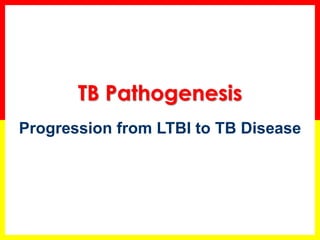 40 
TB Pathogenesis 
Progression from LTBI to TB Disease  