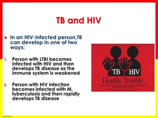 Module 1 – Transmission and Pathogenesis of Tuberculosis 
43 
In an HIV-infected person,TB can develop in one of two ways: 
1.Person with LTBI becomes infected with HIV and then develops TB disease as the immune system is weakened 
2.Person with HIV infection becomes infected with M. tuberculosis and then rapidly develops TB disease 
TB and HIV  