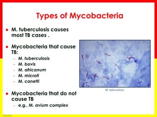 Module 1 – Transmission and Pathogenesis of Tuberculosis 
5 
M. tuberculosis causes most TB cases . 
Mycobacteria that cause TB: 
–M. tuberculosis 
–M. bovis 
–M. africanum 
–M. microti 
–M. canetti 
Mycobacteria that do not cause TB 
–e.g., M. avium complex 
M. tuberculosis 
Types of Mycobacteria  
