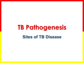 58 
TB Pathogenesis 
Sites of TB Disease  