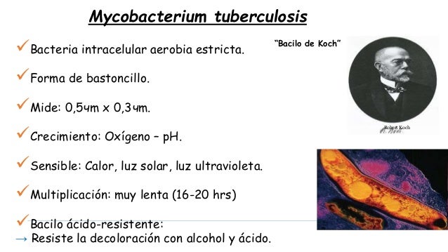 Los tipos de la psicoterapia al alcoholismo