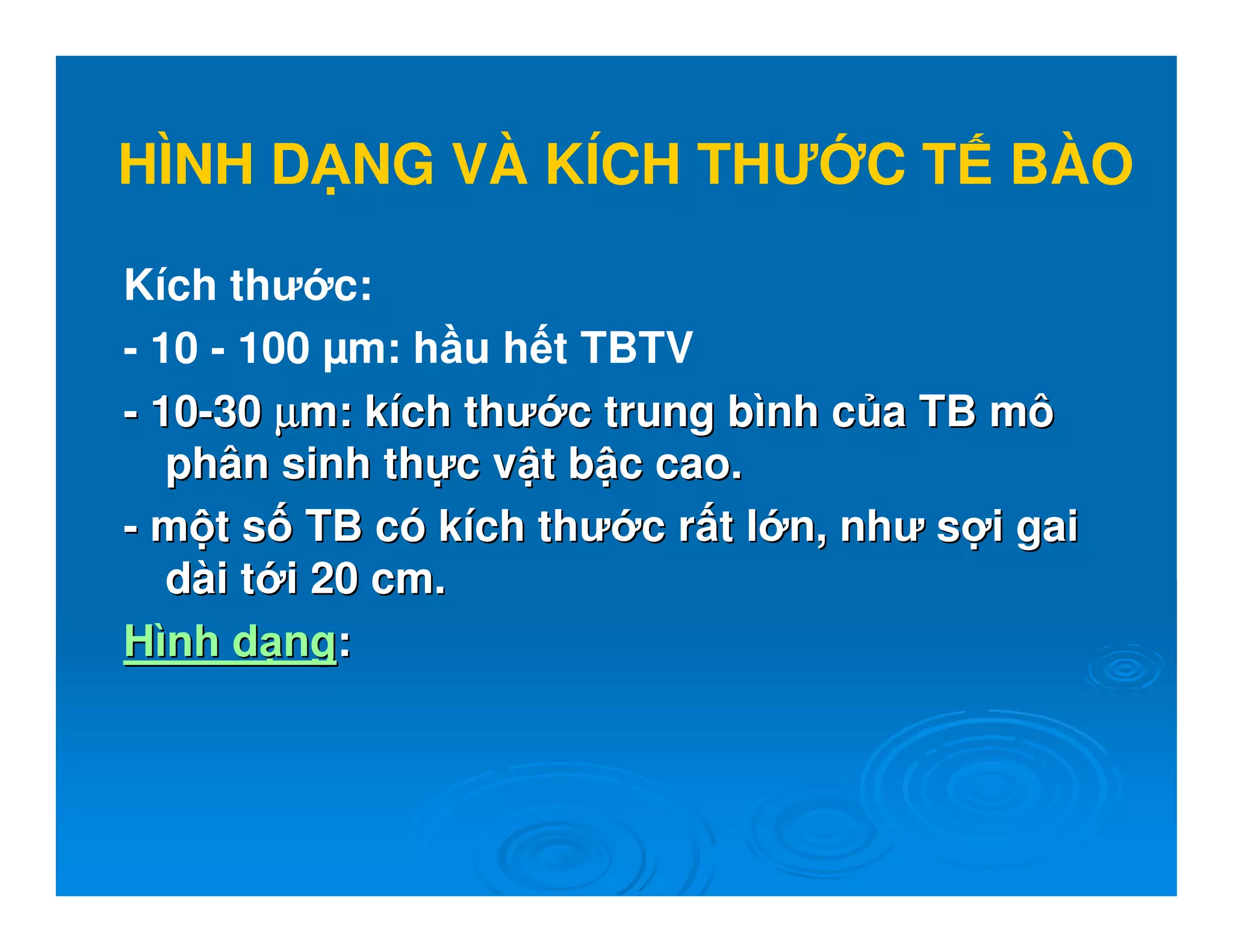 HÌNH D NG VÀ KÍCH THƯ C T BÀO
Kích thư c:
- 10 - 100 µm: h u h t TBTV
-- 1010--3030 µµµµµµµµm: km: kíích thưch thư c trung bc trung bìình cnh c a TB môa TB mô
phân sinh thphân sinh th c vc v t bt b c cao.c cao.
-- mm t st s TB cTB cóó kkíích thưch thư c rc r t lt l n,n, như snhư s i gaii gai
ddàài ti t i 20 cm.i 20 cm.
HHìình dnh d ngng::
 