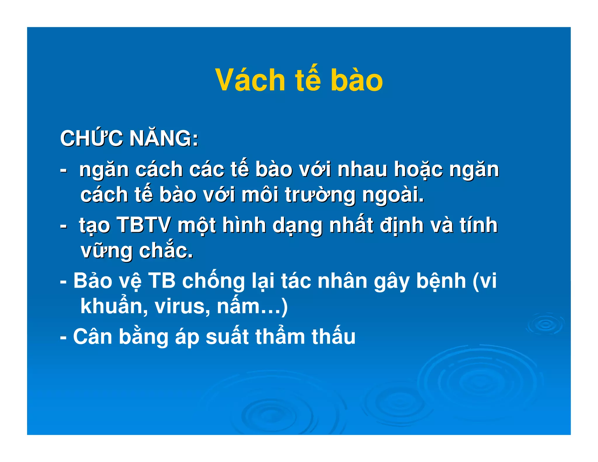 Vách t bào
CHCH C NĂNGC NĂNG::
-- ngăn cngăn cáách cch cáác tc t bbàào vo v i nhau hoi nhau ho c ngănc ngăn
ccáách tch t bbàào vo v i môi trưi môi trư ng ngong ngoàài.i.
-- tt o TBTV mo TBTV m t ht hìình dnh d ng nhng nh tt nh vnh vàà ttíínhnh
vv ng chng ch c.c.
- B o v TB ch ng l i tác nhân gây b nh (vi
khu n, virus, n m…)
- Cân b ng áp su t th m th u
 