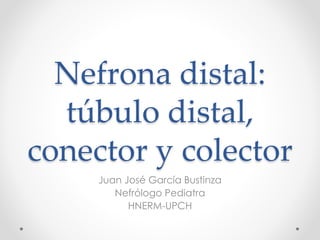 Nefrona distal:
túbulo distal,
conector y colector
Juan José García Bustinza
Nefrólogo Pediatra
HNERM-UPCH
 