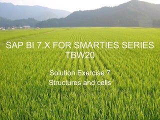 SAP BI 7.X FOR SMARTIES SERIES TBW20 Solution Exercise 7 Structures and cells 