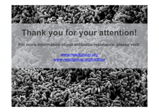 Thank you for your attention!
For more information about antibiotic resistance, please visit:
www.reactgroup.org
www.reactgroup.org/toolbox
 