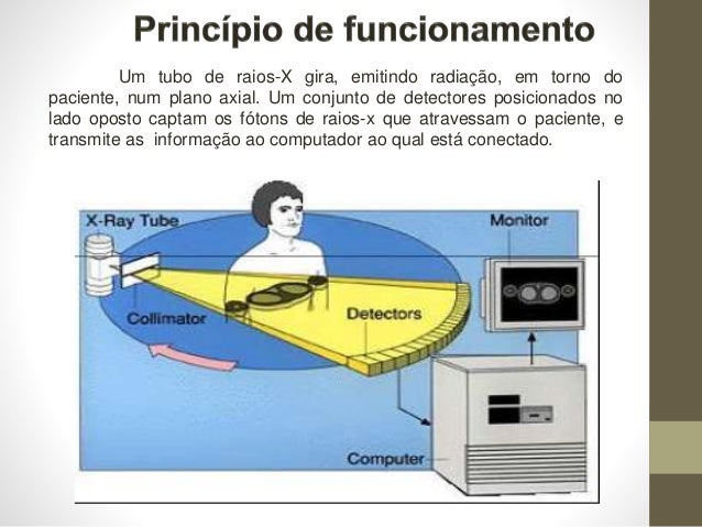 Exame reproducao e processamento de recursos florestais