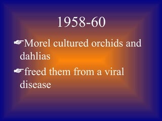 1958-60
Morel cultured orchids and
 dahlias
freed them from a viral
 disease
 