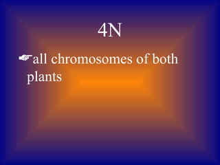 4N
all chromosomes of both
 plants
 