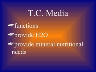 T.C. Media
functions
provide H2O
provide mineral nutritional
 needs
 