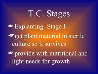 T.C. Stages
Explanting- Stage I
get plant material in sterile
 culture so it survives
provide with nutritional and
 light needs for growth
 