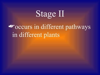 Stage II
occurs in different pathways
 in different plants
 