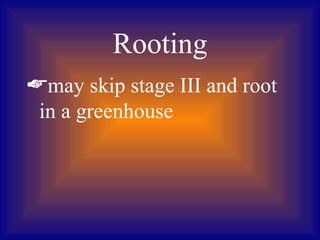 Rooting
may skip stage III and root
 in a greenhouse
 