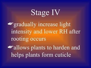 Stage IV
gradually increase light
 intensity and lower RH after
 rooting occurs
allows plants to harden and
 helps plants form cuticle
 