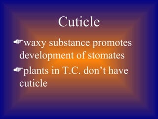 Cuticle
waxy substance promotes
 development of stomates
plants in T.C. don’t have
 cuticle
 