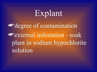 Explant
degree of contamination
external infestation - soak
 plant in sodium hypochlorite
 solution
 
