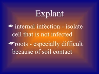 Explant
internal infection - isolate
 cell that is not infected
roots - especially difficult
 because of soil contact
 