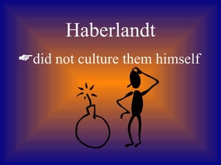 Haberlandt
did not culture them himself
 