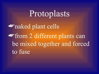 Protoplasts
naked plant cells
from 2 different plants can
 be mixed together and forced
 to fuse
 