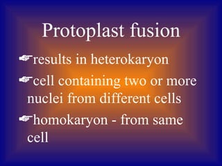 Protoplast fusion
results in heterokaryon
cell containing two or more
 nuclei from different cells
homokaryon - from same
 cell
 