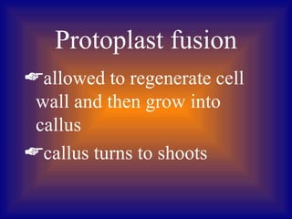 Protoplast fusion
allowed to regenerate cell
 wall and then grow into
 callus
callus turns to shoots
 