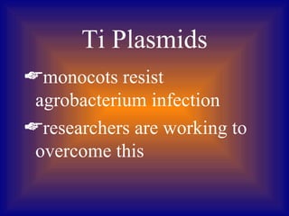 Ti Plasmids
monocots resist
 agrobacterium infection
researchers are working to
 overcome this
 