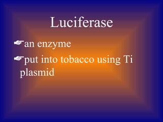 Luciferase
an enzyme
put into tobacco using Ti
 plasmid
 