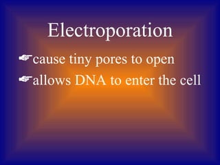 Electroporation
cause tiny pores to open
allows DNA to enter the cell
 