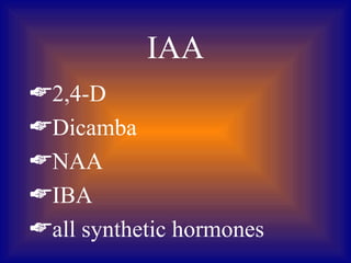 IAA
2,4-D
Dicamba
NAA
IBA
all synthetic hormones
 