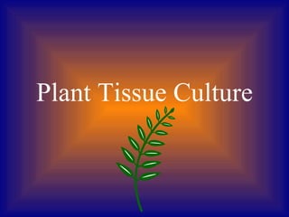 Plant Tissue Culture
 