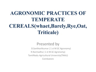 AGRONOMIC PRACTICES OF
TEMPERATE
CEREALS(whaet,Barely,Rye,Oat,
Triticale)
Presented by
D.Santhoshkumar ( 1 st M.SC Agronomy)
R.Narmadha ( 1 st M.SC Agronomy)
TamilNadu Agricultural University(TNAU)
Coimbatore
 