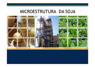 Haga clic para modificar el
estilo de título del patrón
1111
Conhecendo a Soja por dentro
MICROESTRUTURA DA SOJA
 