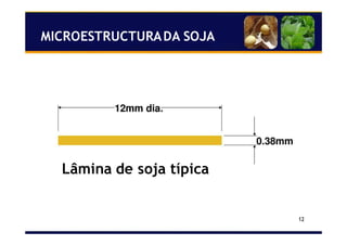 12
Lâmina de soja típica
MICROESTRUCTURADA SOJA
 