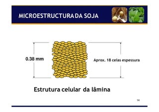 14
Aprox. 18 celas espessura
Estrutura celular da lâmina
MICROESTRUCTURADA SOJA
 
