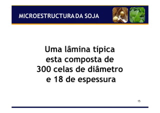 15
Uma lâmina típica
esta composta de
300 celas de diâmetro
e 18 de espessura
MICROESTRUCTURADA SOJA
 