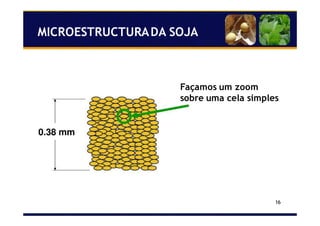16
Façamos um zoom
sobre uma cela simples
MICROESTRUCTURADA SOJA
 