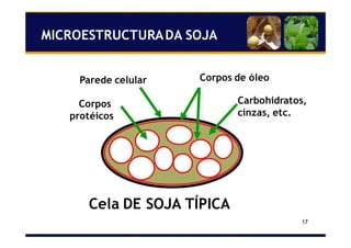 17
Parede celular Corpos de óleo
Corpos
protéicos
Carbohidratos,
cinzas, etc.
Cela DE SOJA TÍPICA
MICROESTRUCTURADA SOJA
 