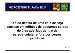 18
O óleo dentro de uma cela de soja
consiste em milhões de pequenos corpos
de óleo aderidos dentro da
parede celular e fora dos corpos
protéicos
MICROESTRUCTURADA SOJA
 