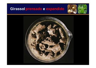 21
Girassol prensado e expandido
 