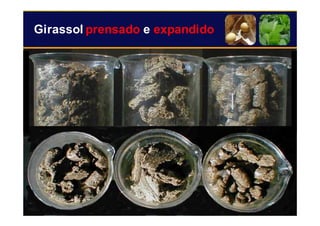 22
Girassol prensado e expandido
 