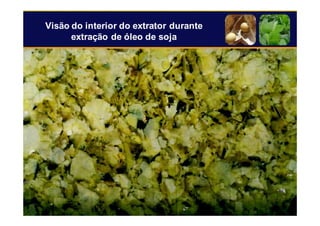 24
Visão do interior do extrator durante
extração de óleo de soja
 