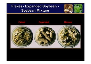 25
Flakes - Expanded Soybean -
Soybean Mixture
Flaked Expanded Mixture
 