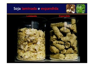 26
Soja laminada e expandida
Laminada Expandida
 