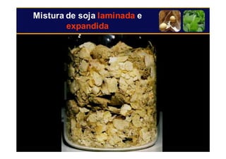 27
Mistura de soja laminada e
expandida
 