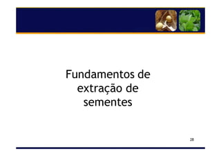 28
Fundamentos de
extração de
sementes
 