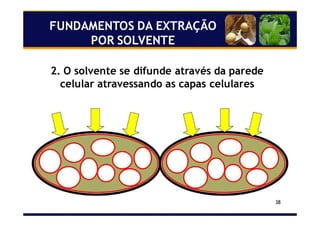 38
2. O solvente se difunde através da parede
celular atravessando as capas celulares
FUNDAMENTOS DA EXTRAÇÃO
POR SOLVENTE
 
