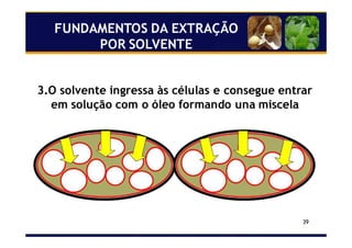 39
3.O solvente ingressa às células e consegue entrar
em solução com o óleo formando una miscela
FUNDAMENTOS DA EXTRAÇÃO
POR SOLVENTE
 