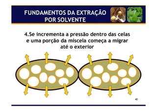 40
4.Se incrementa a pressão dentro das celas
e uma porção da miscela começa a migrar
até o exterior
FUNDAMENTOS DA EXTRAÇÃO
POR SOLVENTE
 